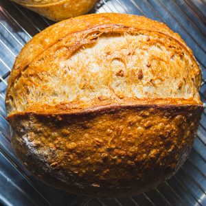 Honey Oat Batard